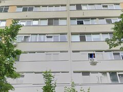 Obor, Colentina, Teiul Doamnei, langa Sectia 7 politie